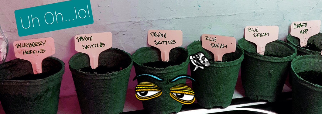 Start Up Package  $325