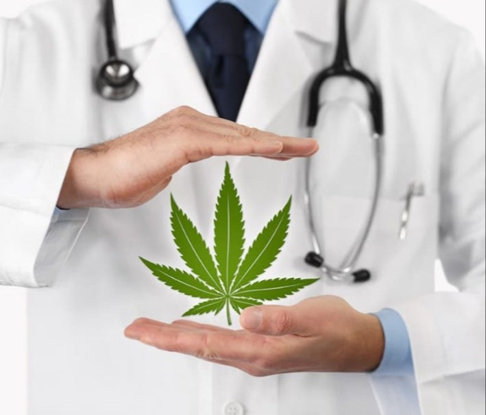 DOCTORS EXAM AND SEMINAR